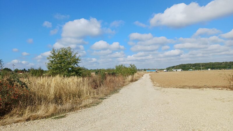 Ciolpani, Izvorani, apropiere padure si COR,
