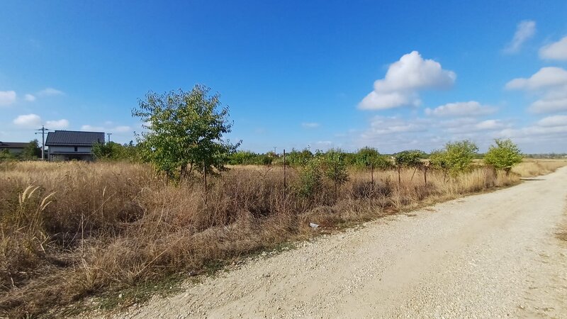 Ciolpani, Izvorani, apropiere padure si COR,