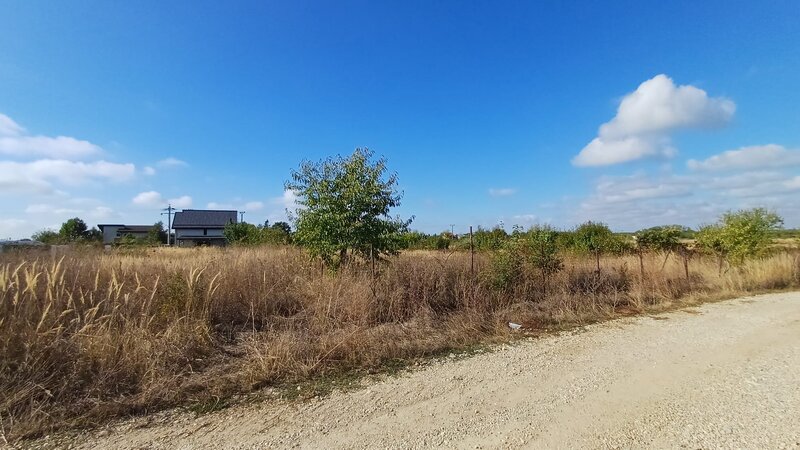 Ciolpani, Izvorani, apropiere padure si COR,