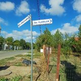Ciolpani, Izvorani, apropiere padure si COR